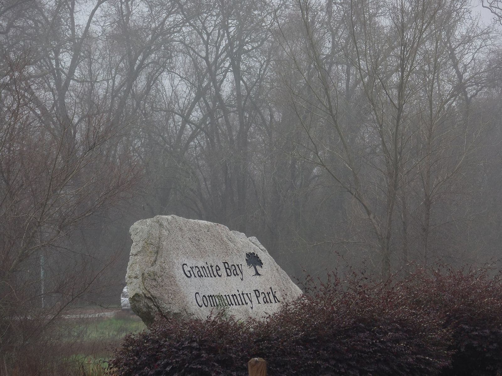 The carved granite boulder sign for Granite Bay Community Park with bare winter trees behind it in fog
