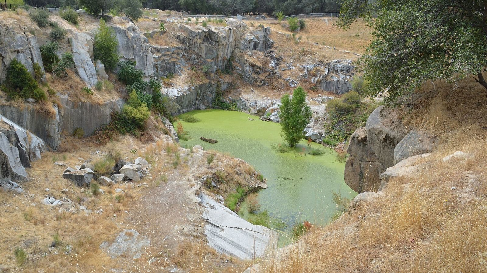 An old granite quarry in Rocklin, California, with water in the pit and oaks growing along the cut rock rim